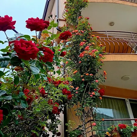 Апартаменты Laura 2 *